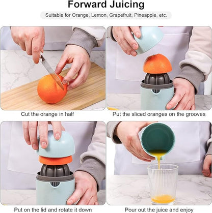Manual Juicer 1 Zarya