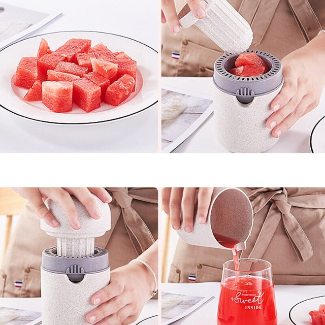 Manual Juicer 1 Zarya